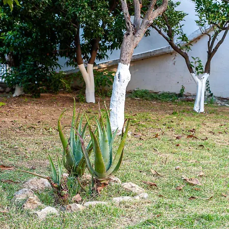 Stavros Summer House Case de vacanță Néa Fókaia